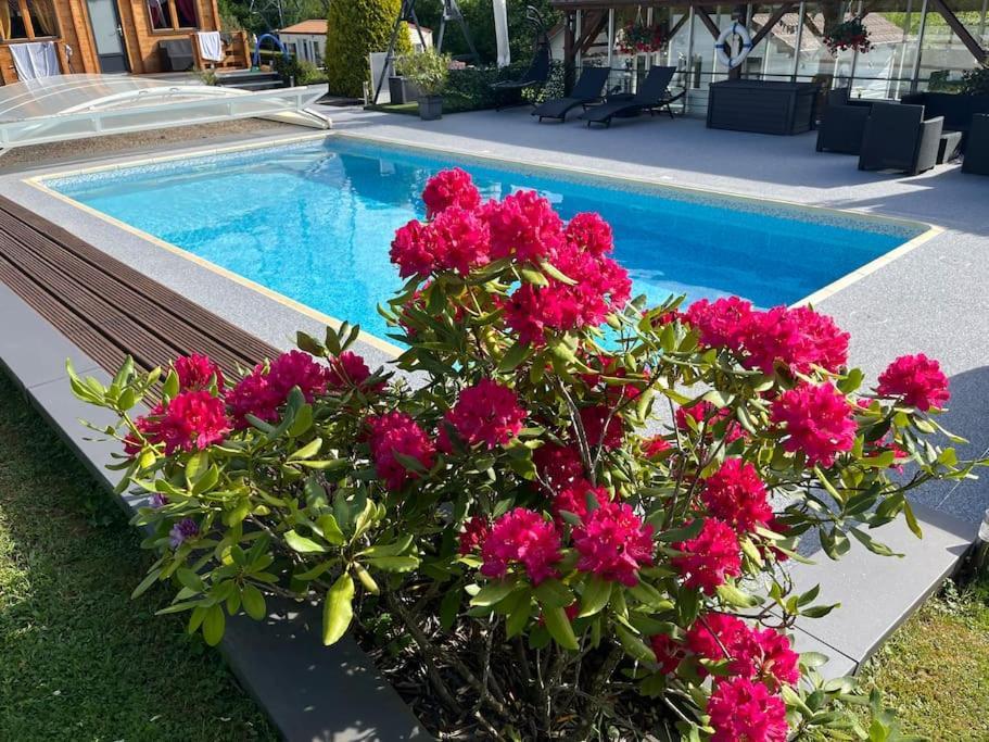 Chalet 2 Personnes Avec Jacuzzi Et Piscine Saisonniere Partagee Corcieux Exterior foto